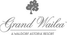 Hawaii Wedding Videography at the Grand Wailea